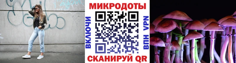 Псилоцибиновые грибы мицелий  Благовещенск 